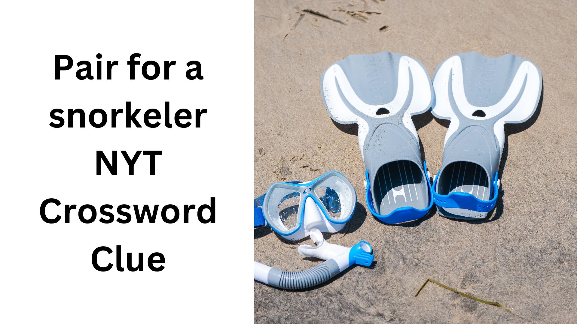 Pair for a snorkeler NYT Crossword Clue