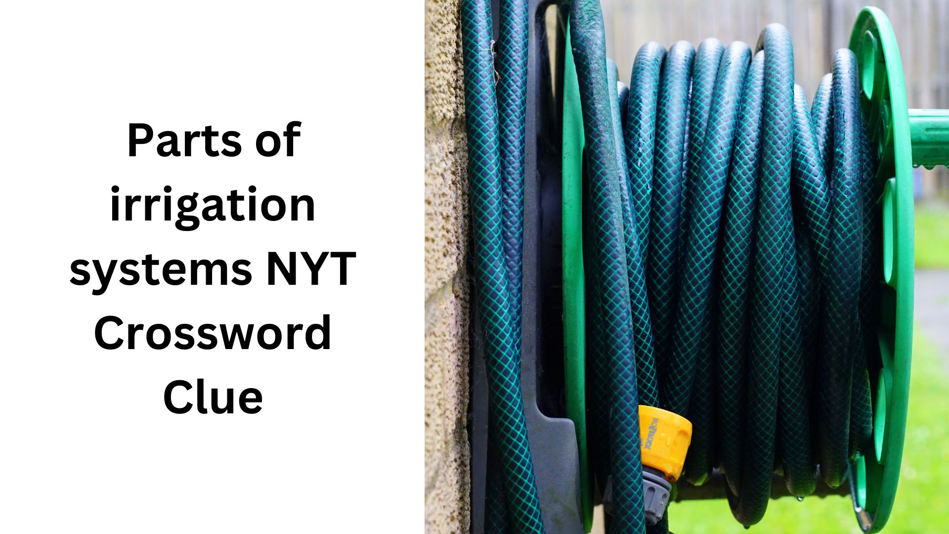 Parts of irrigation systems NYT Crossword Clue
