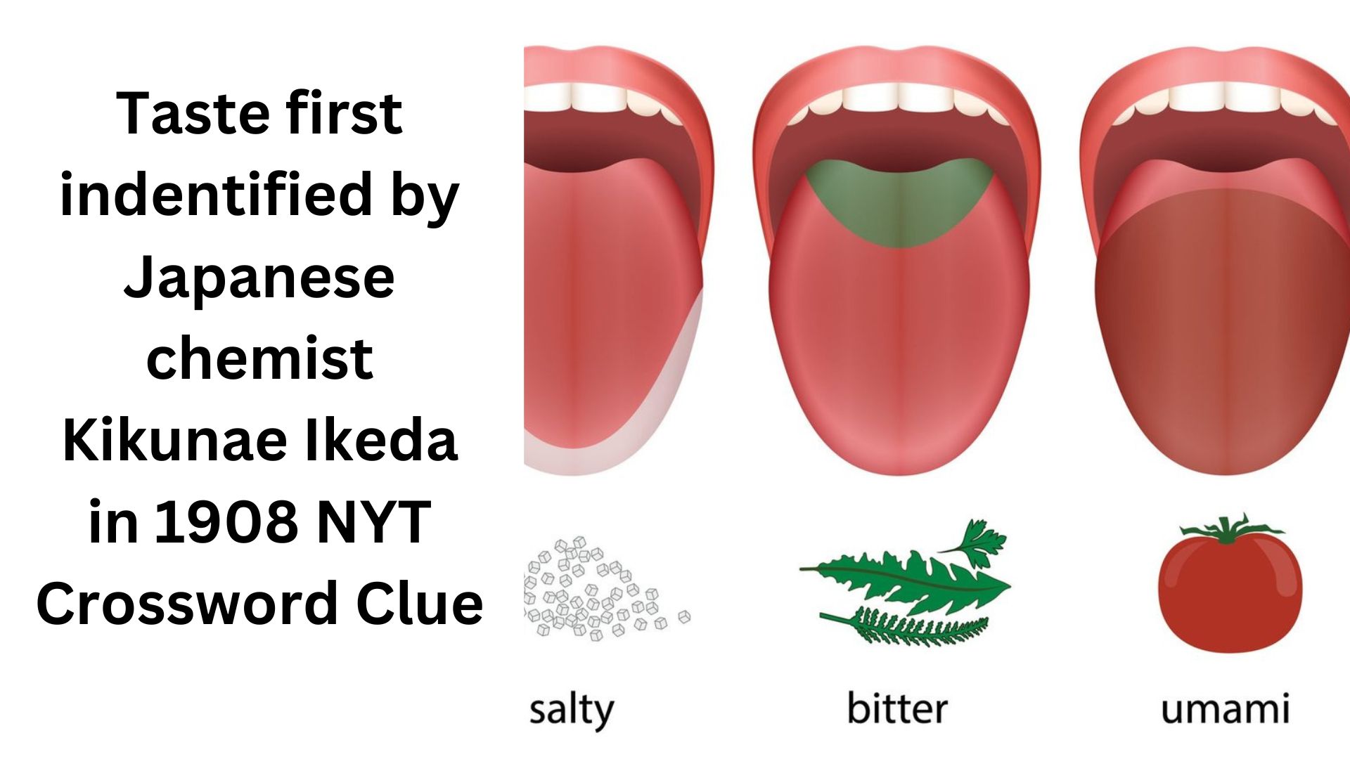 Taste first indentified by Japanese chemist Kikunae Ikeda in 1908 NYT Crossword Clue
