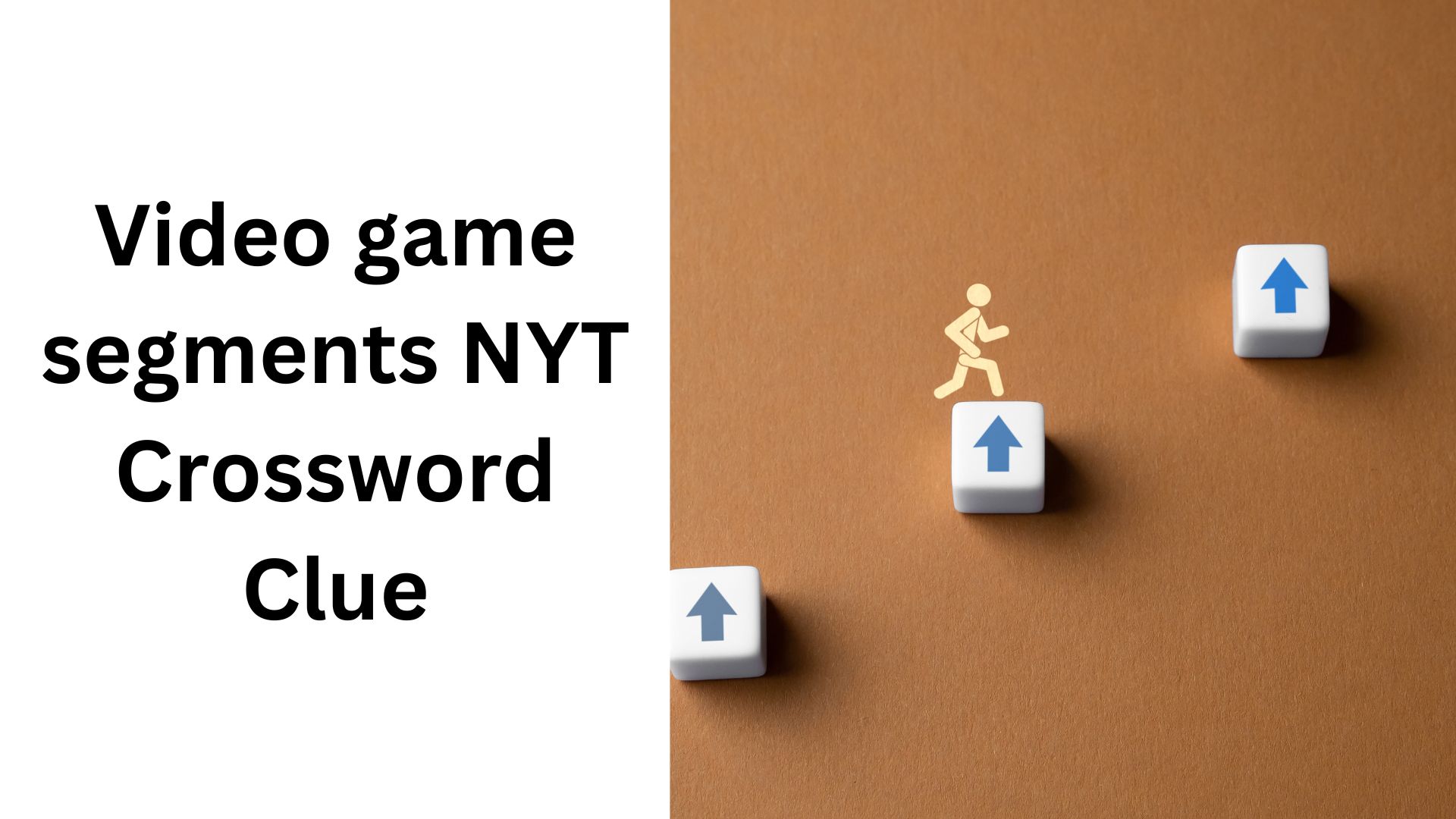 Video game segments NYT Crossword Clue