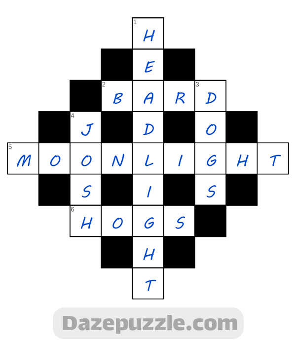 puzzle page diamond 30 november 2024 answer