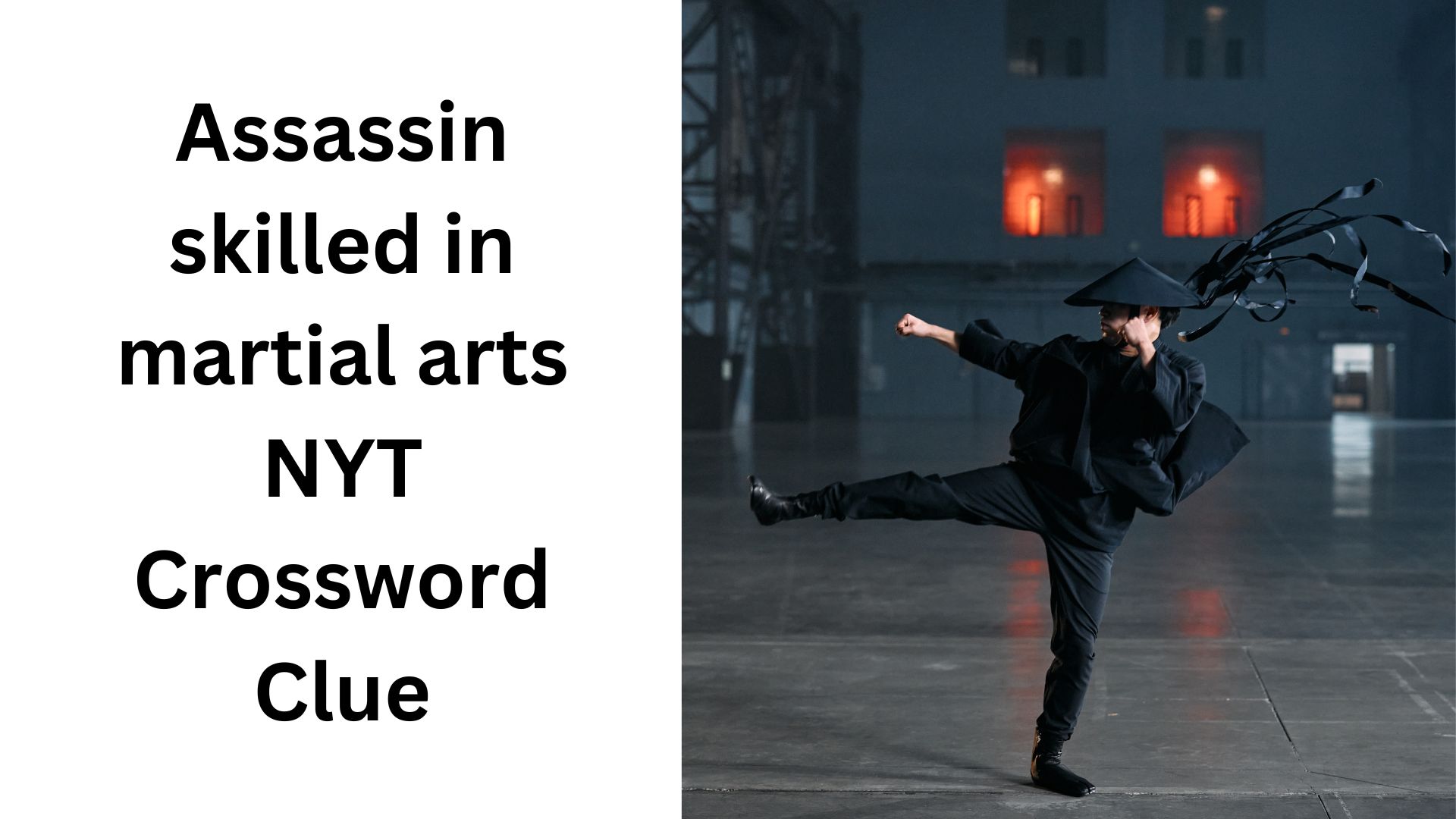 Assassin skilled in martial arts NYT Crossword Clue