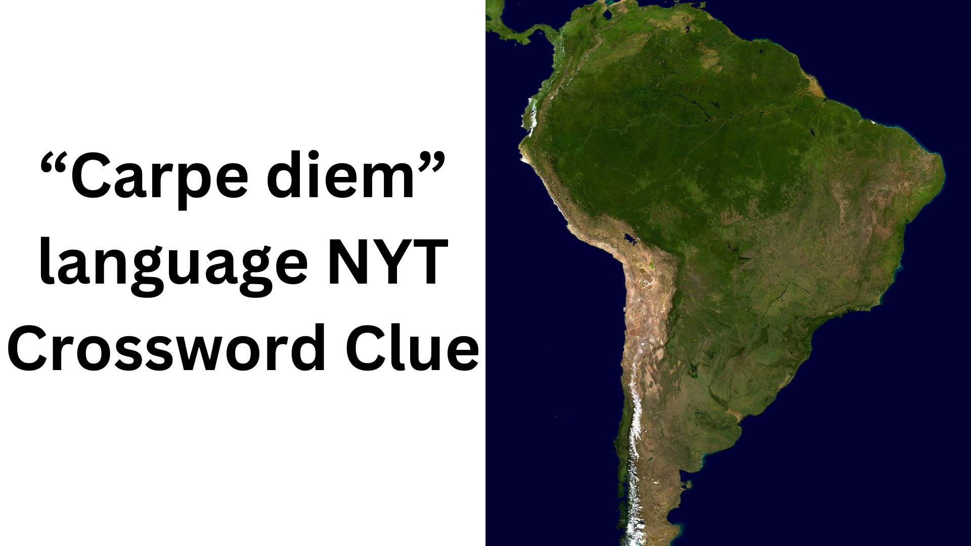 “Carpe diem” language NYT Crossword Clue