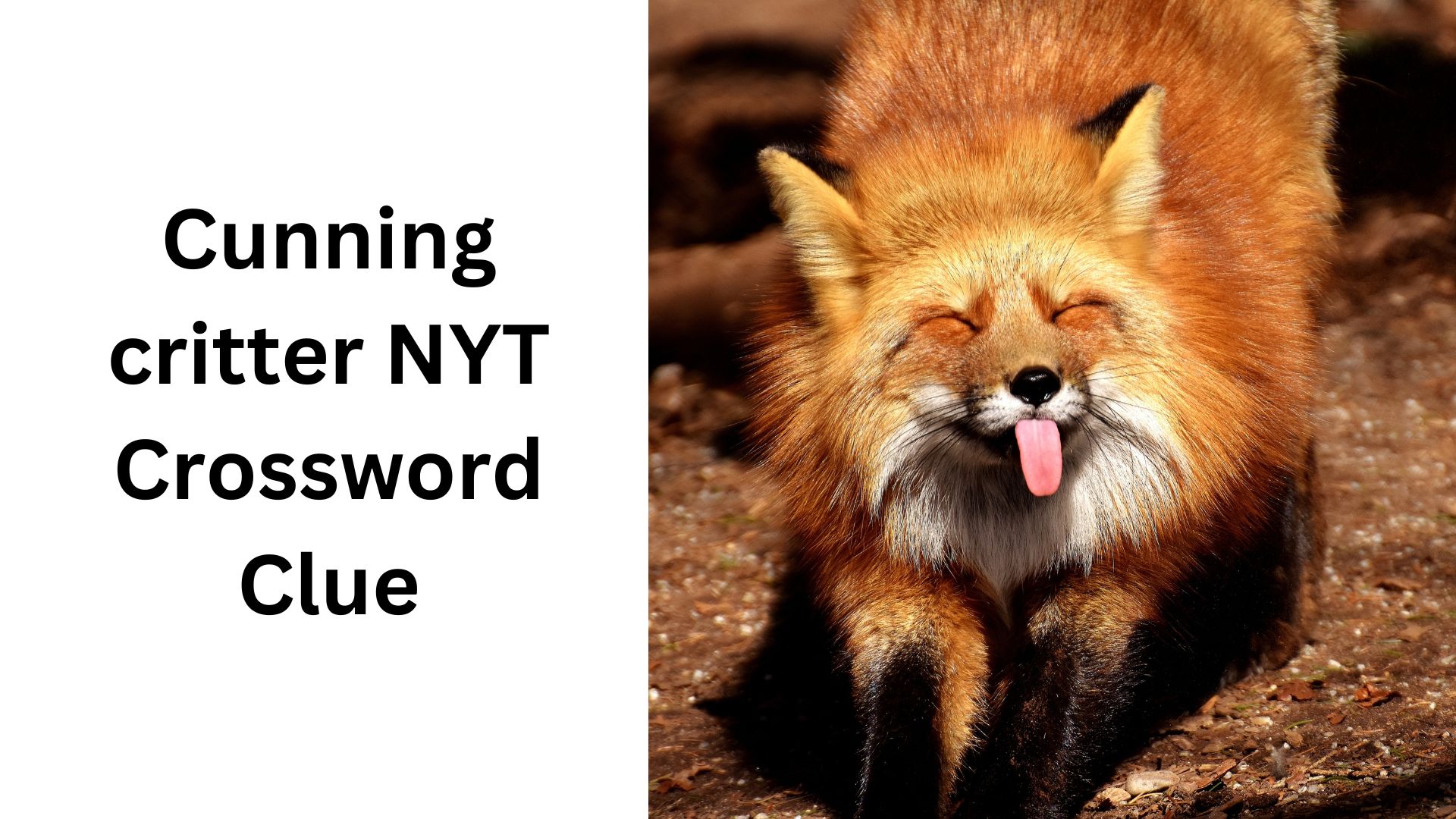 Cunning critter NYT Crossword Clue