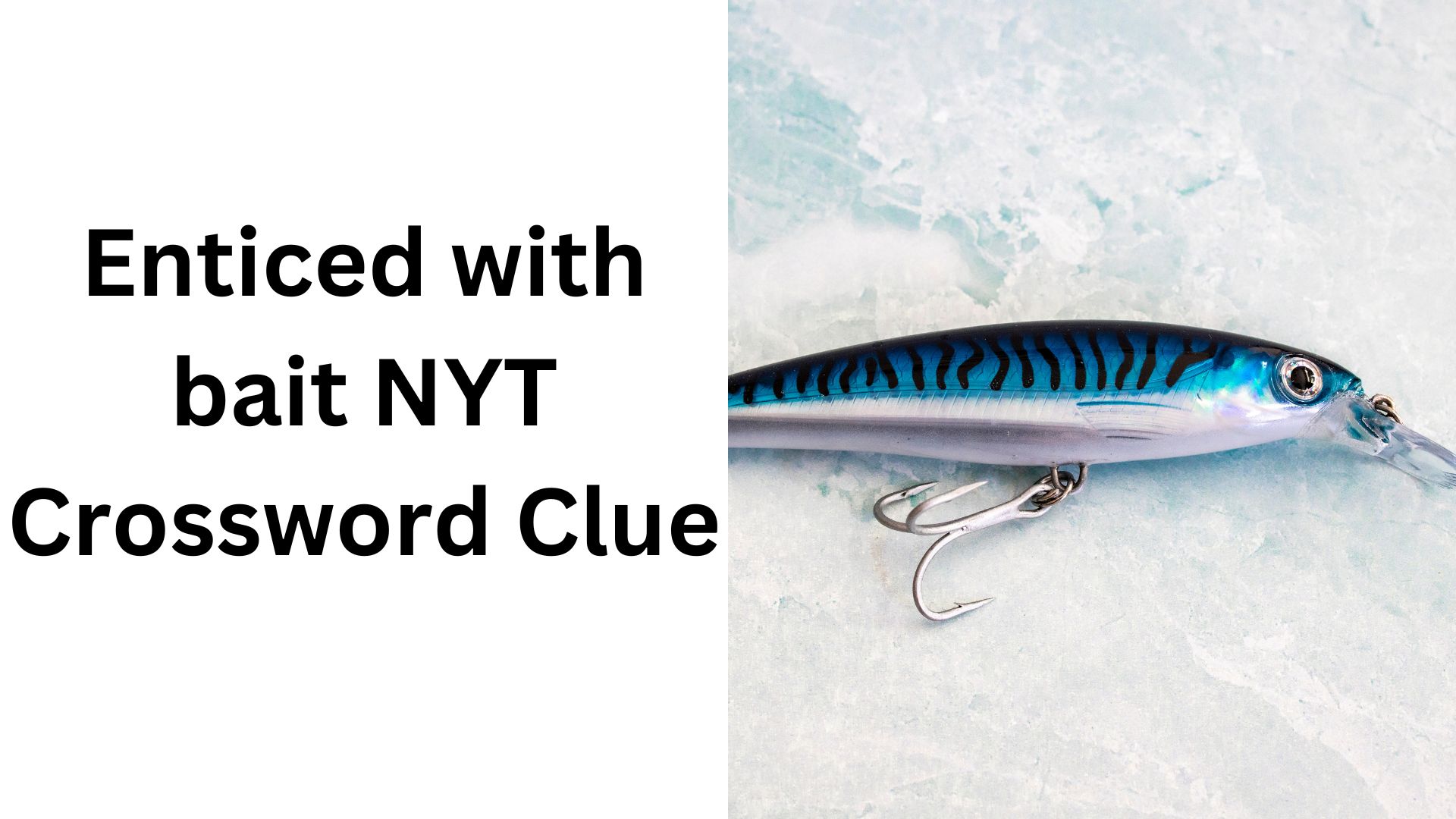 Enticed with bait NYT
