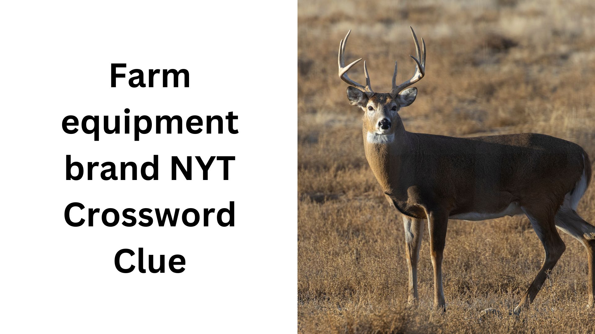 Farm equipment brand NYT Crossword Clue