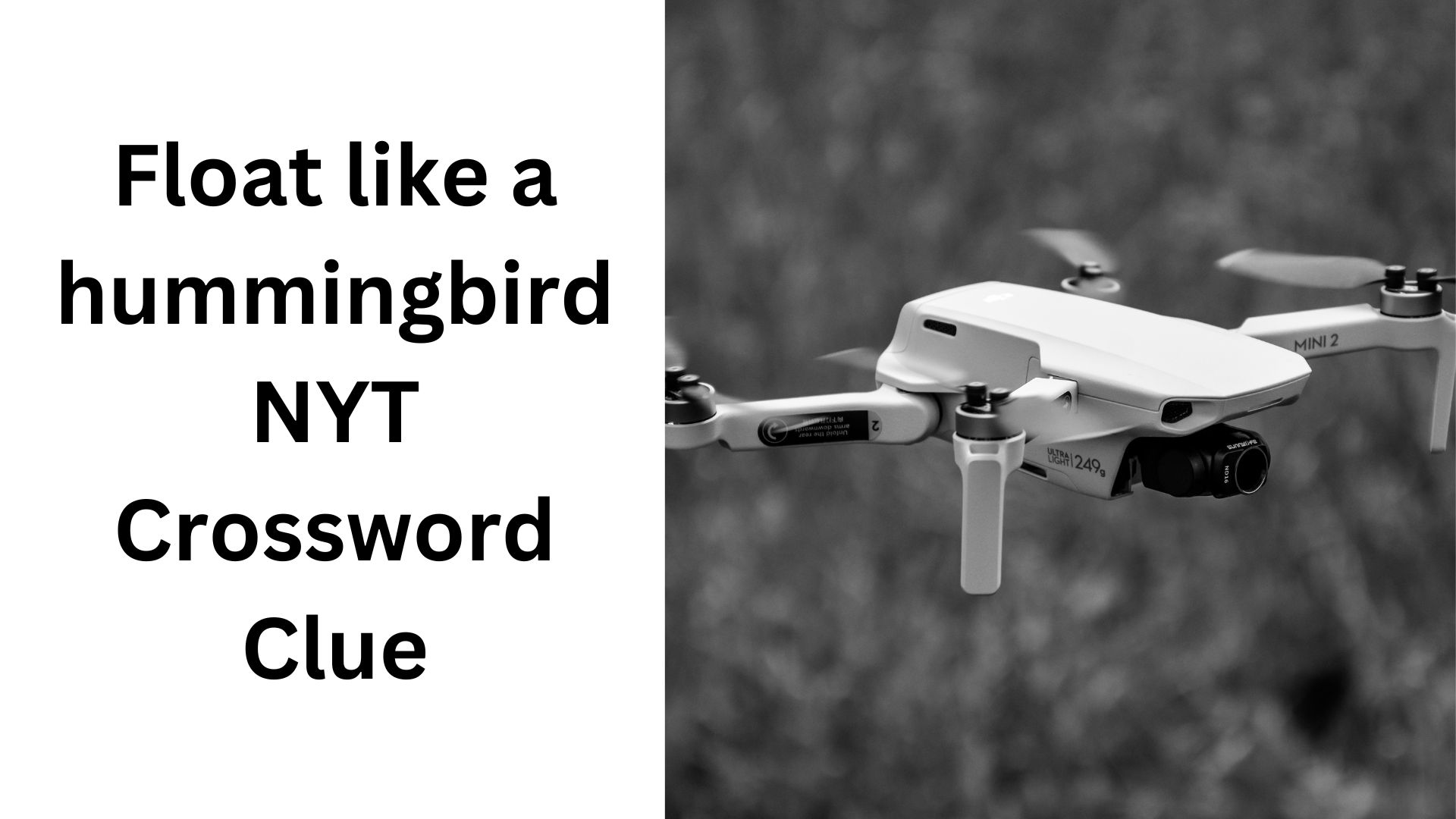Float like a hummingbird NYT Crossword Clue