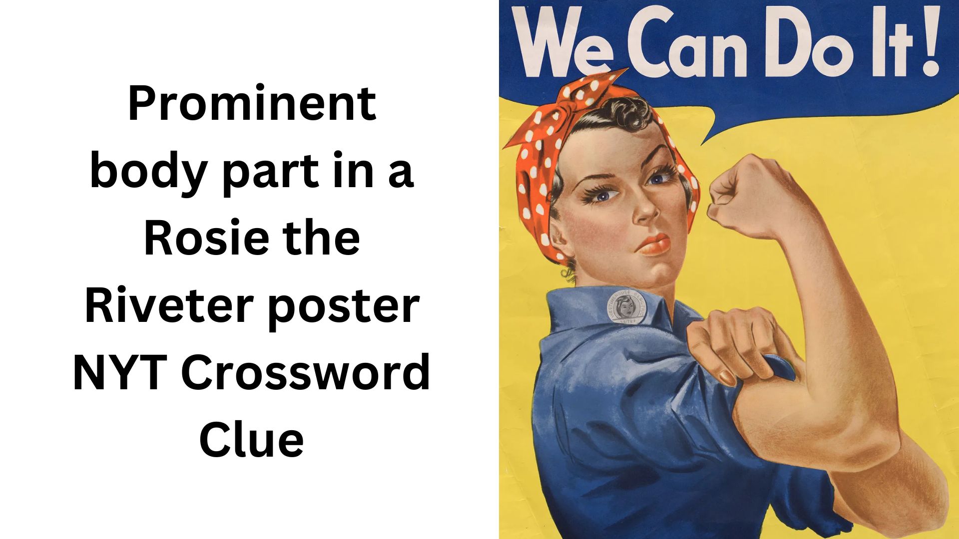 Prominent body part in a Rosie the Riveter poster NYT Crossword Clue