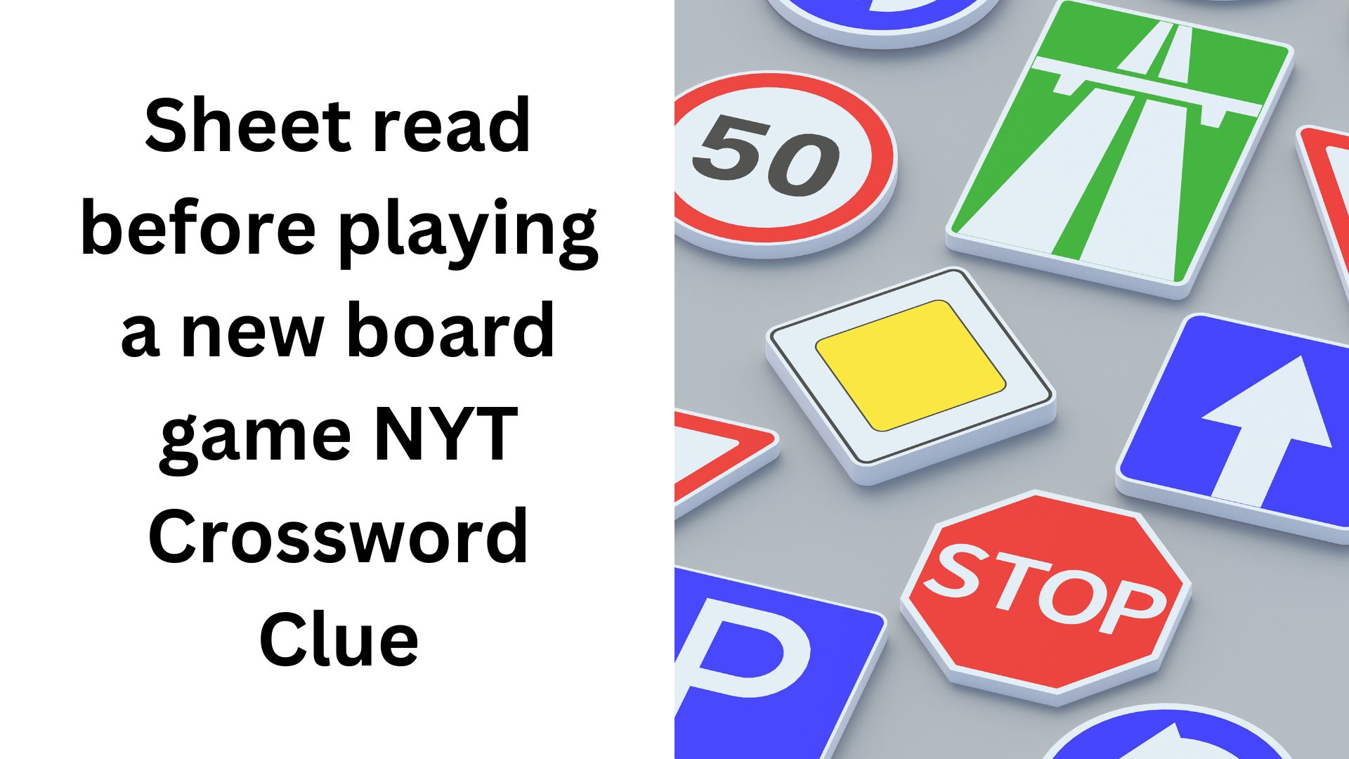 Sheet read before playing a new board game NYT Crossword Clue