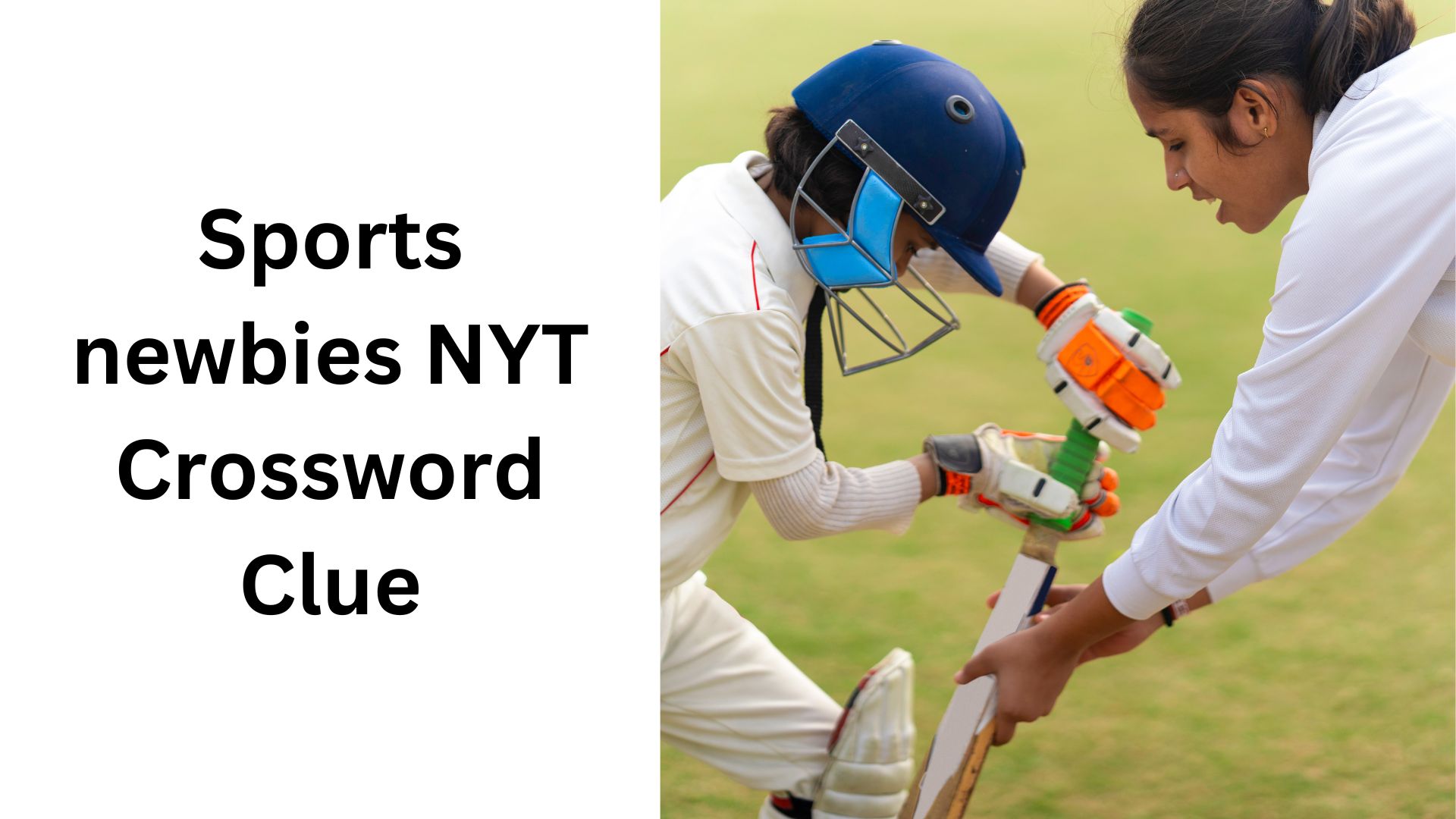 Sports newbies NYT Crossword Clue