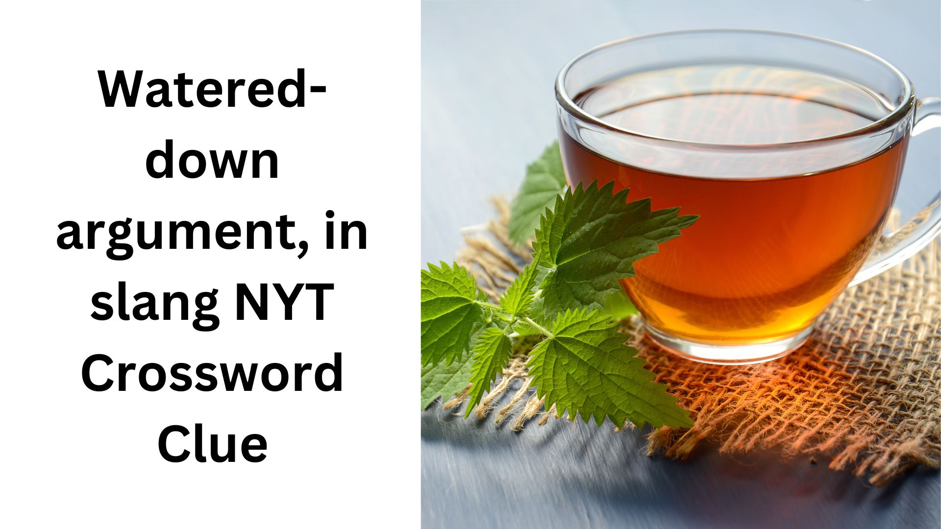 Watered-down argument, in slang NYT Crossword Clue