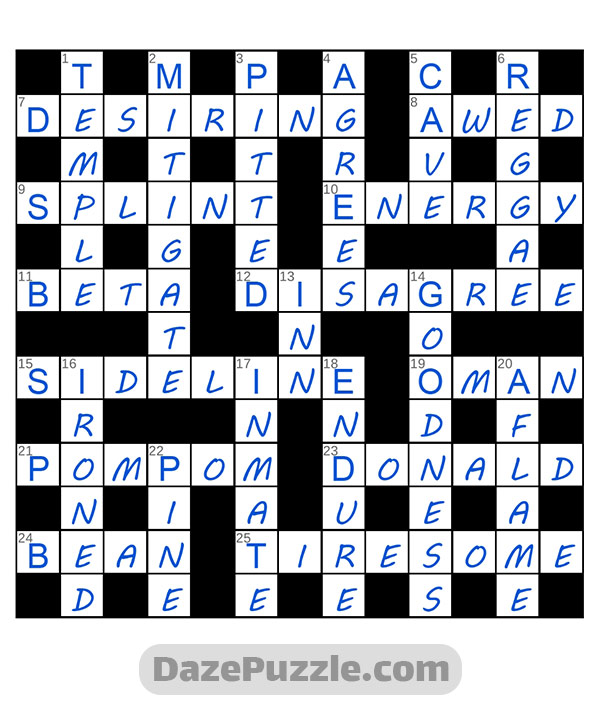 puzzle page challenger 1 december 2024 answer