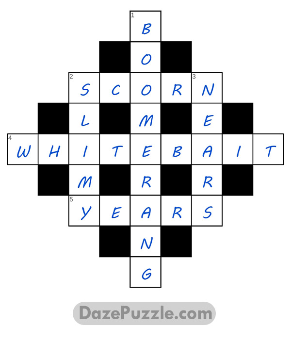 puzzle page diamond 25 december 2024 answer