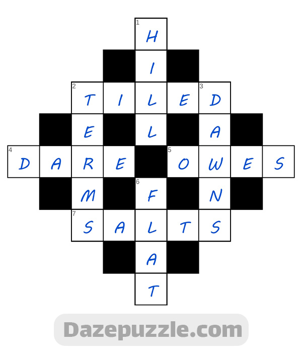 puzzle page diamond 7 december 2024 answer