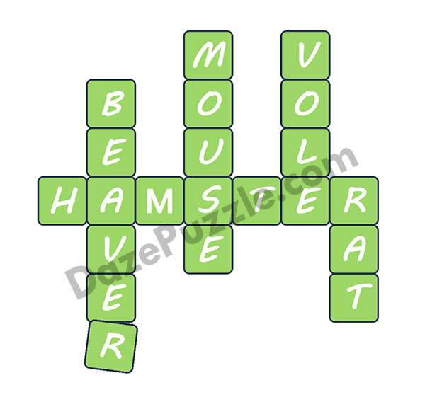 puzzle page link words 21 december 2024 answer