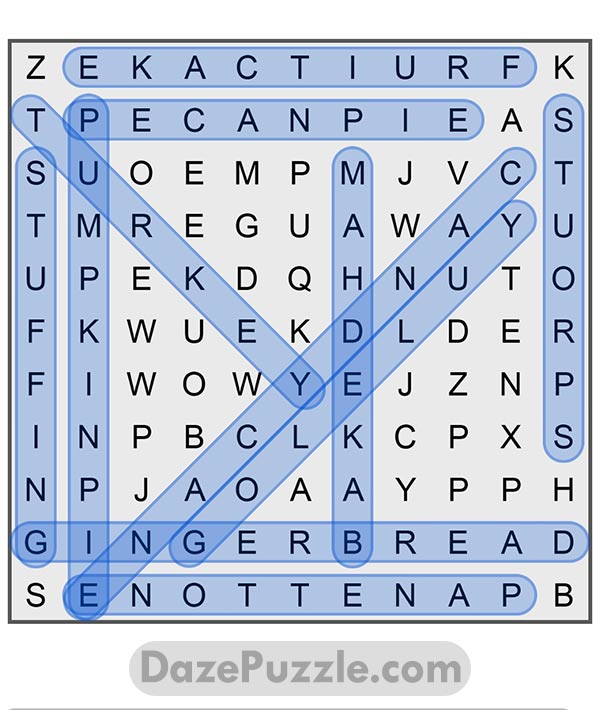 puzzle page word search 20 december 2024 answer