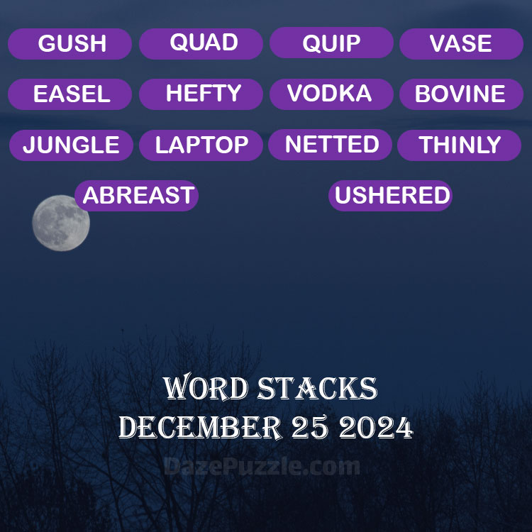 Word Stacks December 25 2024 Daily Puzzle Answer
