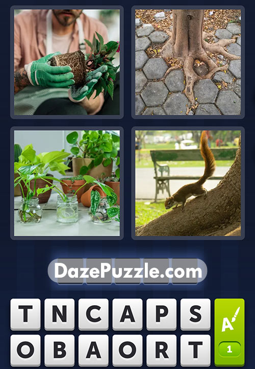 4 pics 1 word january 10 2025 daily puzzle answers