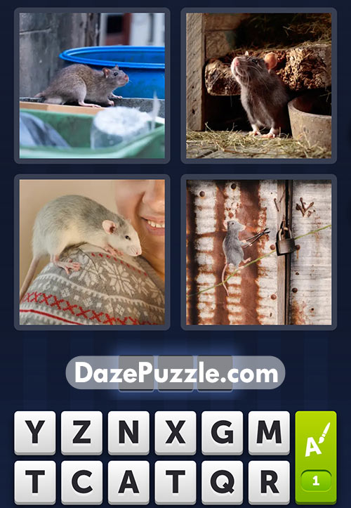 4 pics 1 word january 20 2025 daily puzzle answers