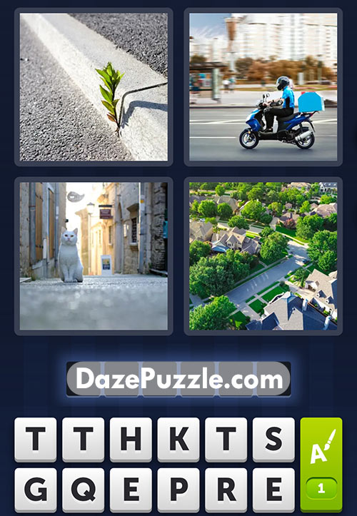 4 pics 1 word january 25 2025 daily puzzle answers