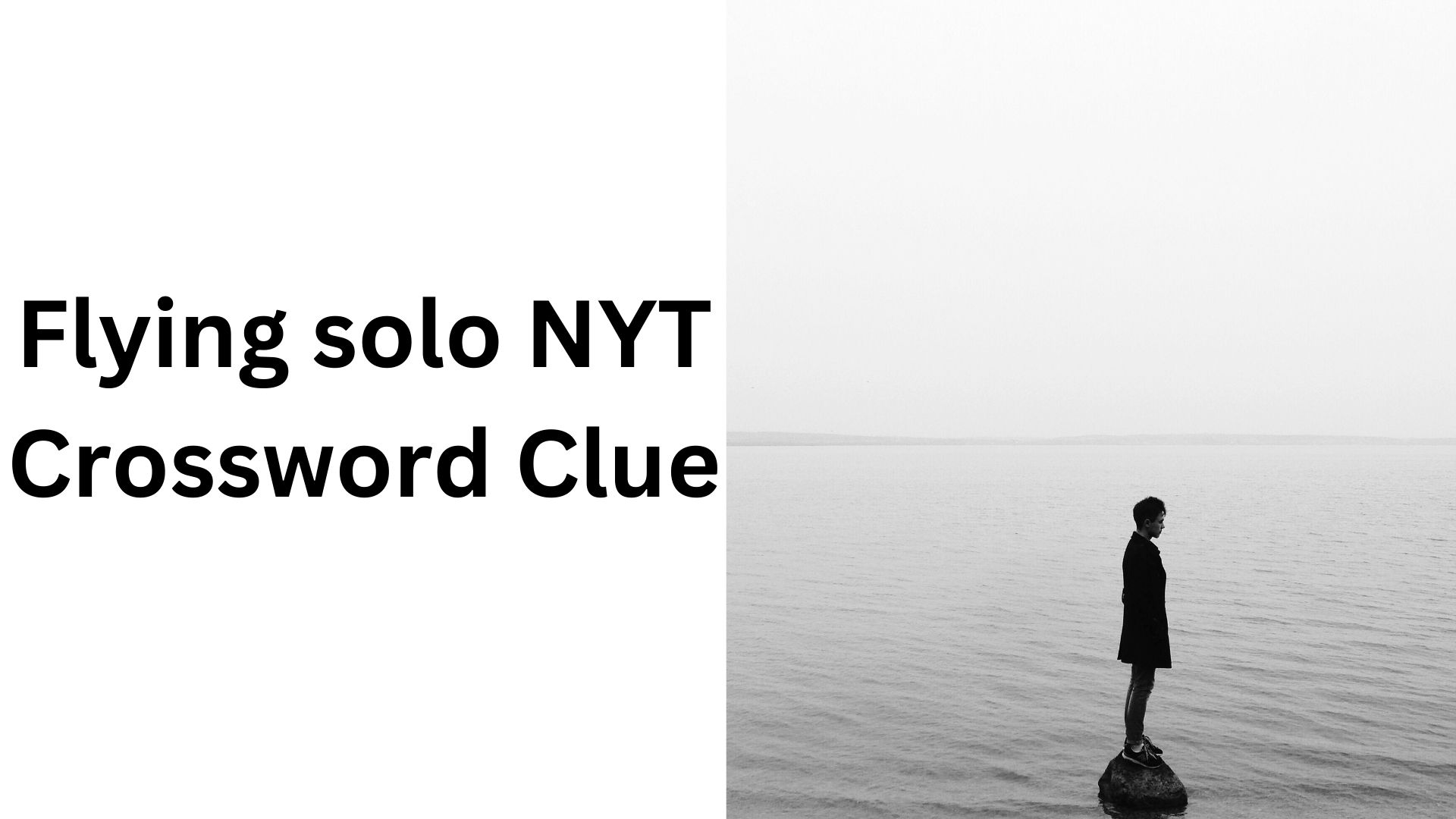 Flying solo NYT Crossword Clue