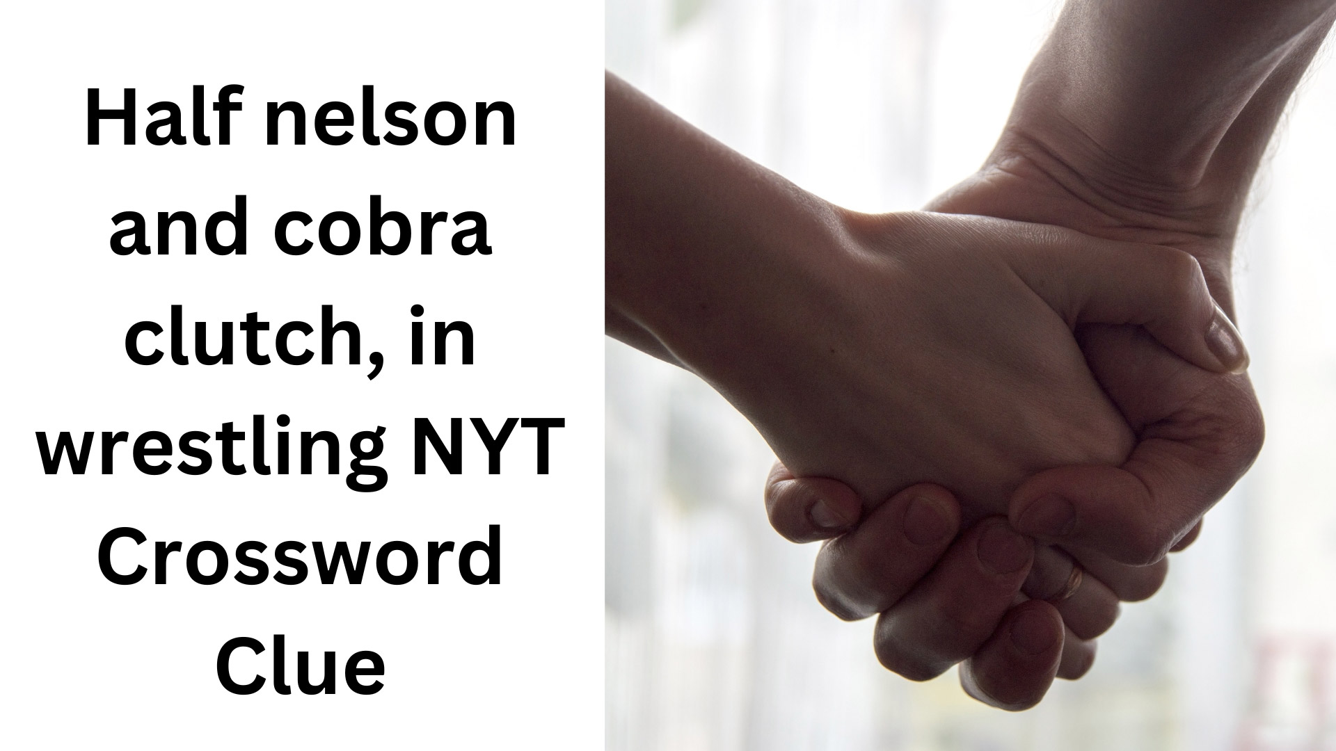 Half nelson and cobra clutch, in wrestling NYT Crossword Clue