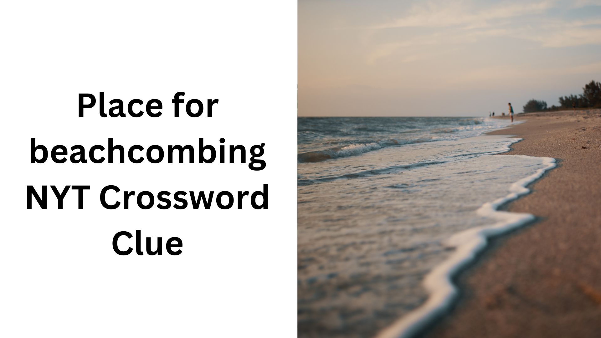 Place for beachcombing NYT Crossword Clue