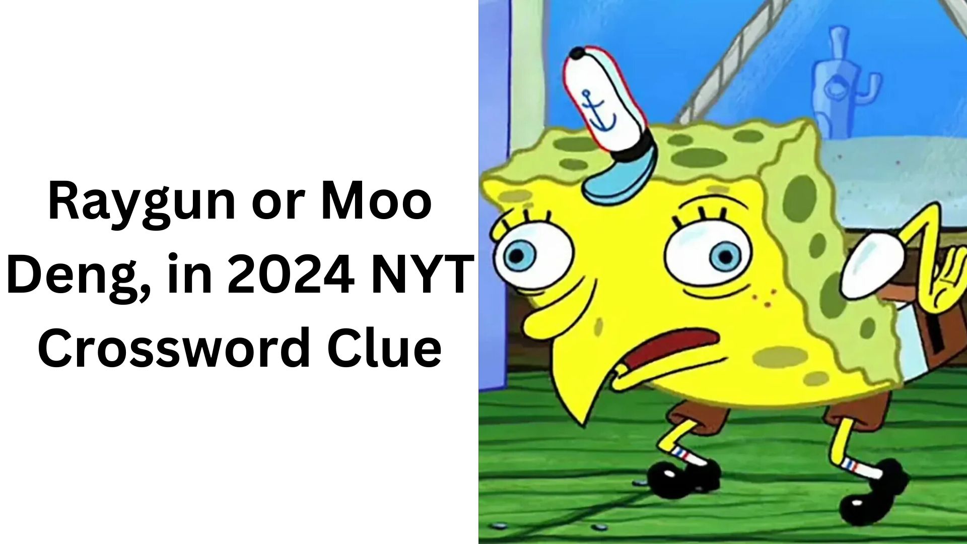 Raygun or Moo Deng, in 2024 NYT Crossword Clue