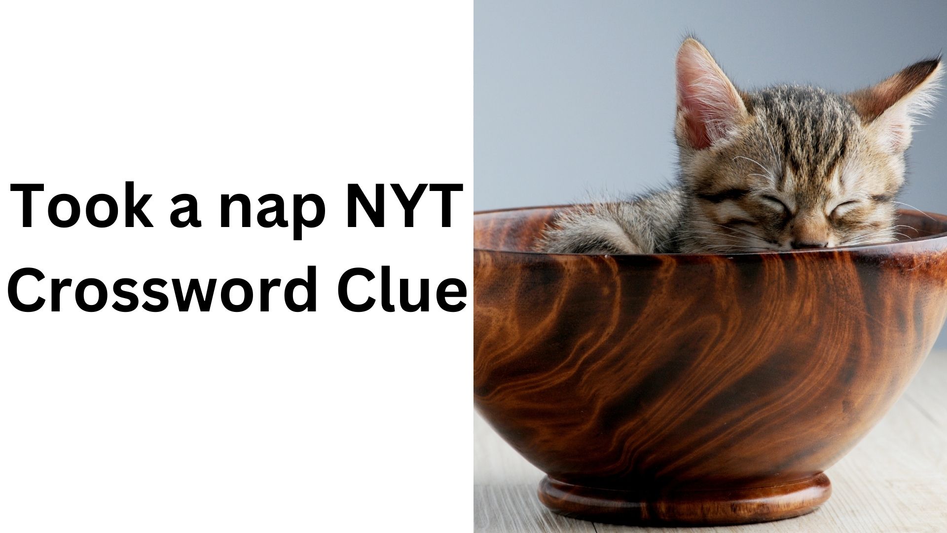 Took a nap NYT Crossword Clue