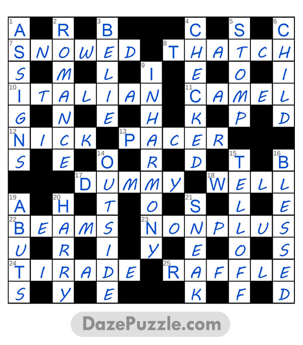 puzzle page challenger 3 january 2025 answer