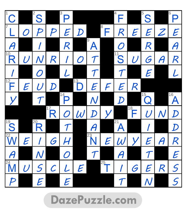 puzzle page challenger 5 january 2025 answer