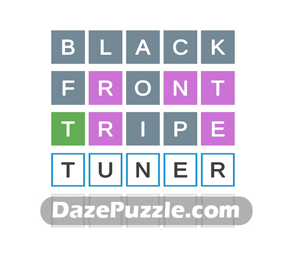 puzzle page wordy 13 january 2025 answer