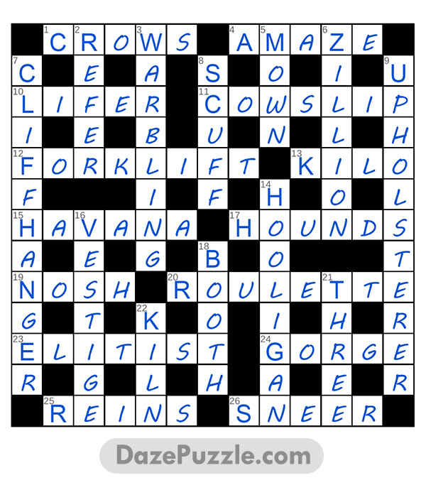 puzzle page challenger 2 february 2025 answer