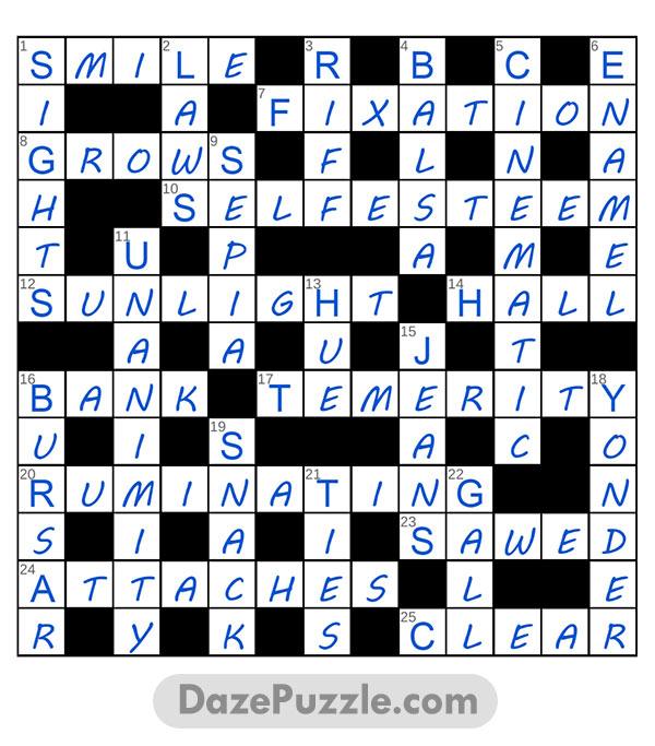 puzzle page challenger 7 february 2025 answer