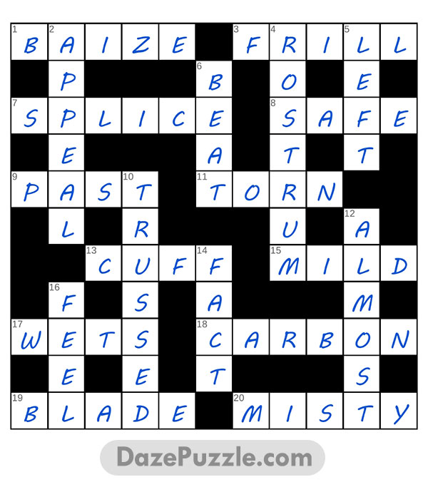 puzzle page crossword 17 february 2025 answer
