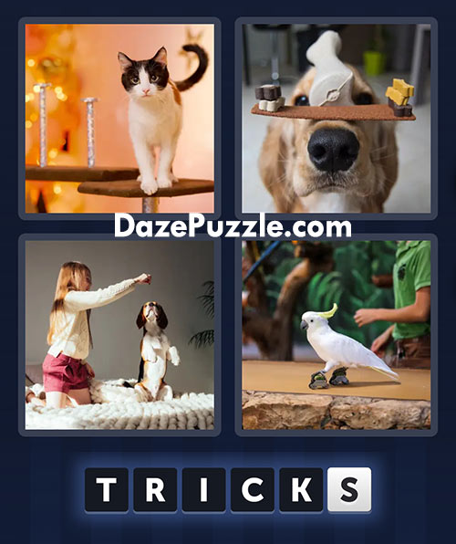 4 pics 1 word march 1 2025 daily bonus puzzle answers