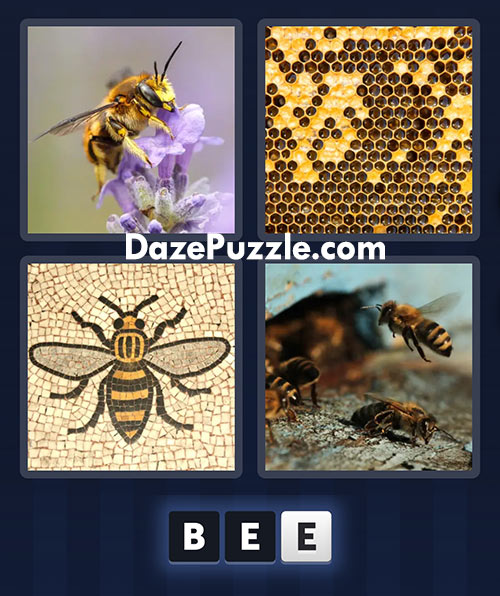 4 pics 1 word march 1 2025 daily puzzle answers