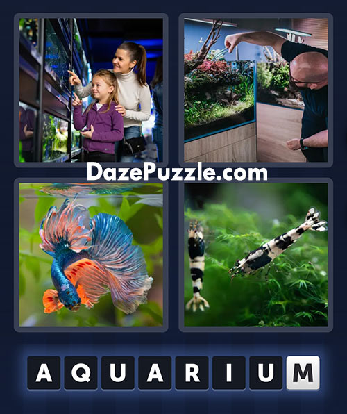 4 pics 1 word march 10 2025 daily bonus puzzle answers