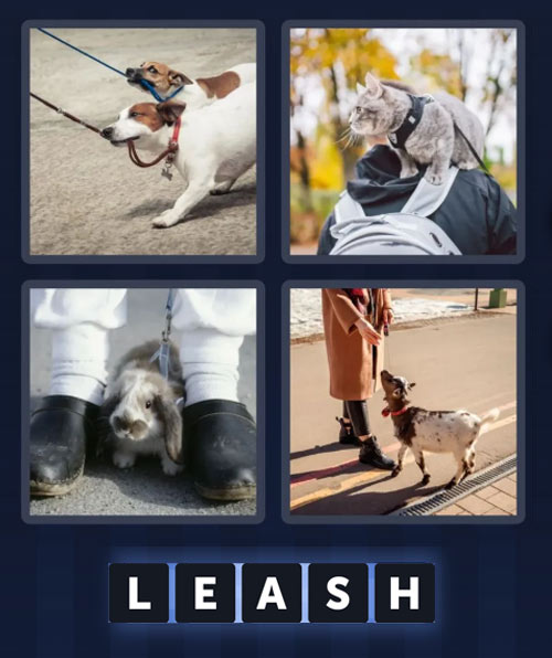 4 pics 1 word march 10 2025 daily puzzle answers