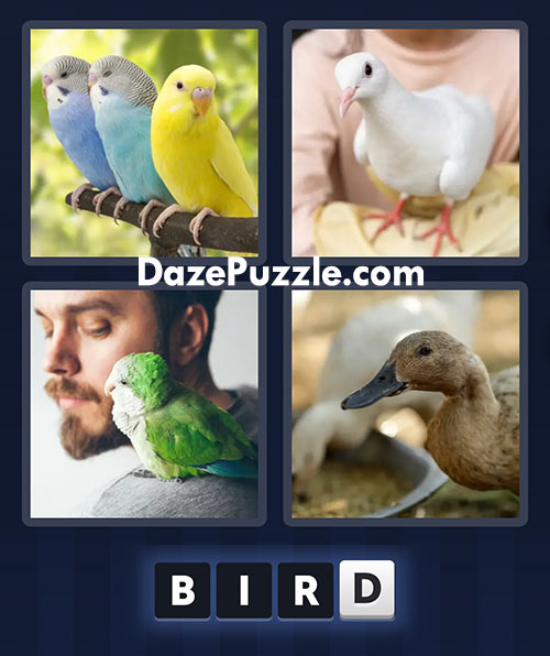 4 pics 1 word march 11 2025 daily puzzle answers