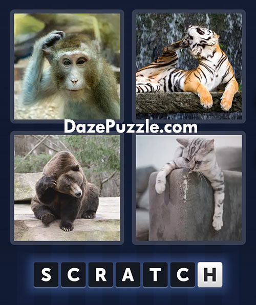 4 pics 1 word march 13 2025 daily bonus puzzle answers