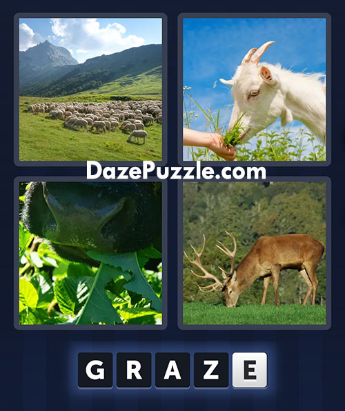 4 pics 1 word march 16 2025 daily bonus puzzle answers