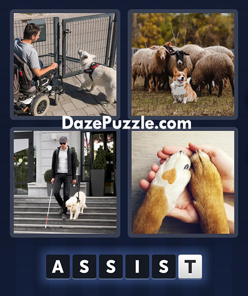 4 pics 1 word march 17 2025 daily bonus puzzle answers