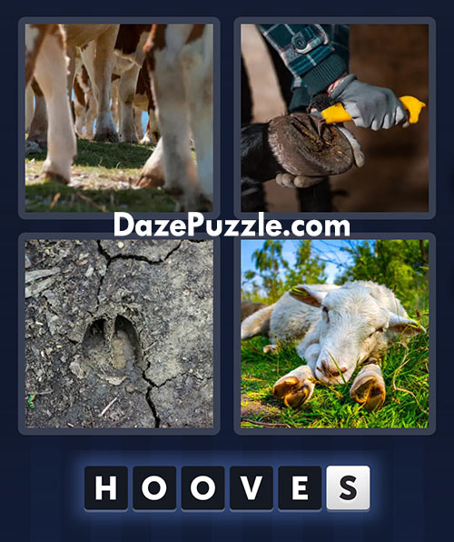 4 pics 1 word march 17 2025 daily puzzle answers