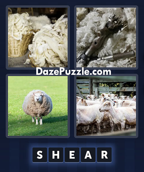 4 pics 1 word march 18 2025 daily bonus puzzle answers