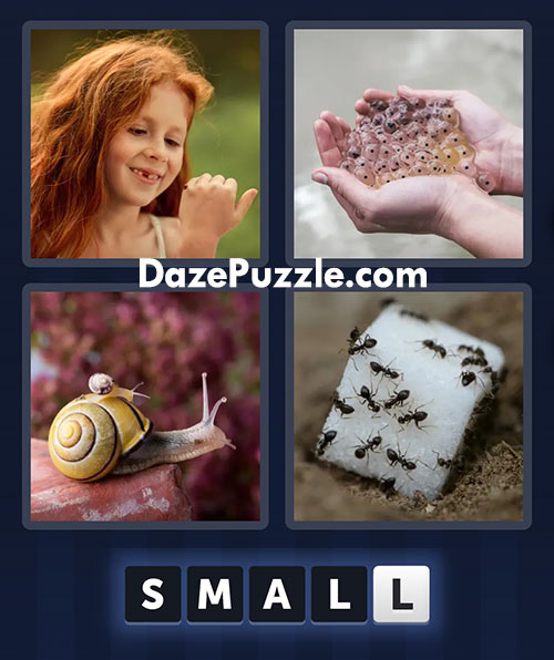 4 pics 1 word march 2 2025 daily bonus puzzle answers