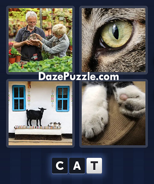 4 pics 1 word march 2 2025 daily puzzle answers