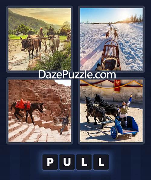 4 pics 1 word march 20 2025 daily bonus puzzle answers