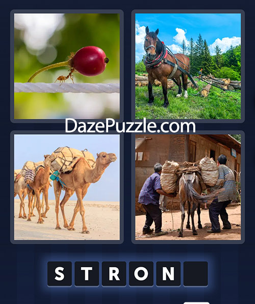 4 pics 1 word march 24 2025 daily bonus puzzle answers