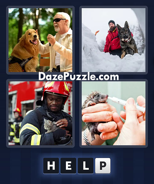 4 pics 1 word march 4 2025 daily bonus puzzle answers
